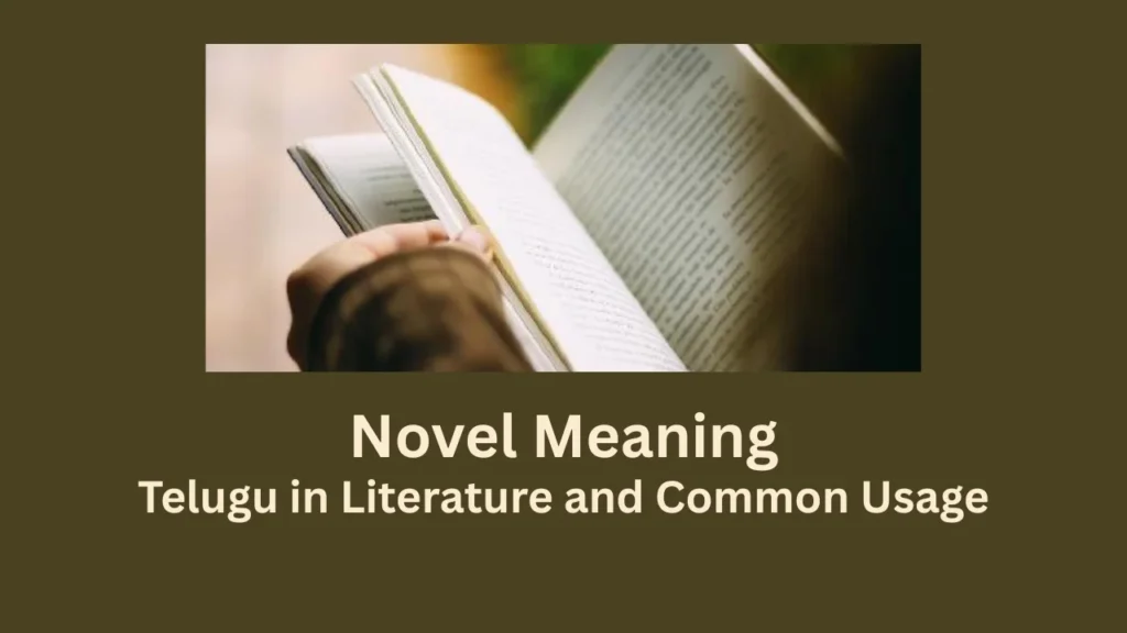 novel meaning in telugu